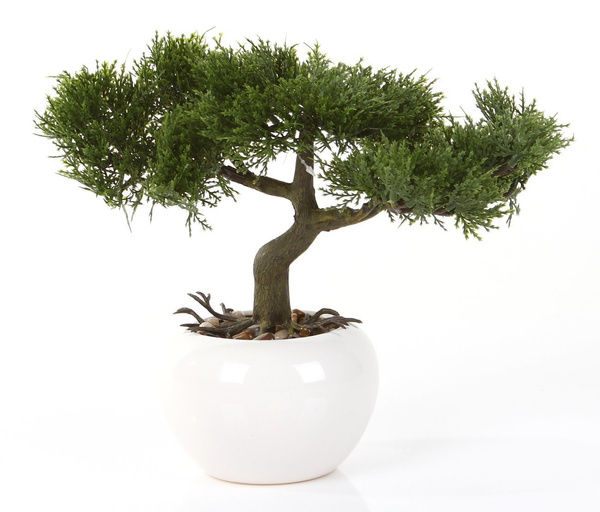 Sztuczne drzewko Bonsai Cedr 25 cm w ceramicznej doniczce