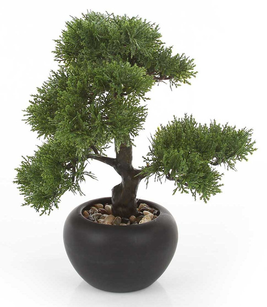 Sztuczne drzewko Bonsai Cedr 37 cm w czarnej doniczce