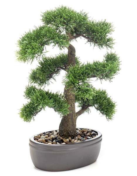Sztuczne drzewko Bonsai Cedr 45 cm w brązowej doniczce