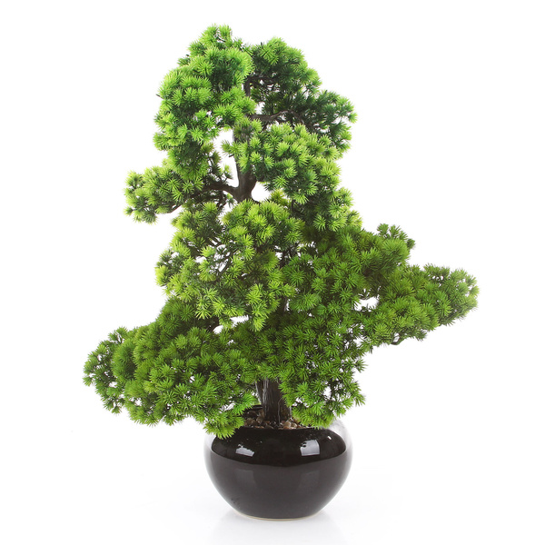 Sztuczne drzewko Bonsai Modrzew Larch 70 cm w ceramicznej doniczce