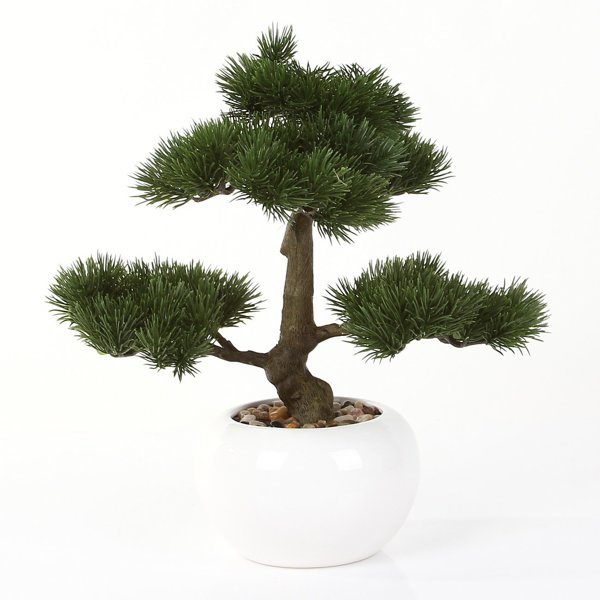 Sztuczne drzewko Bonsai Sosna Pinia 38 cm w ceramicznej doniczce