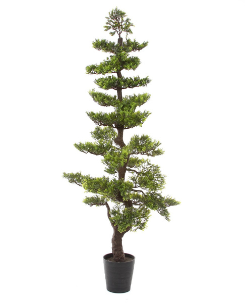 Sztuczne drzewko Bonsai Zielona Herbata 180 cm