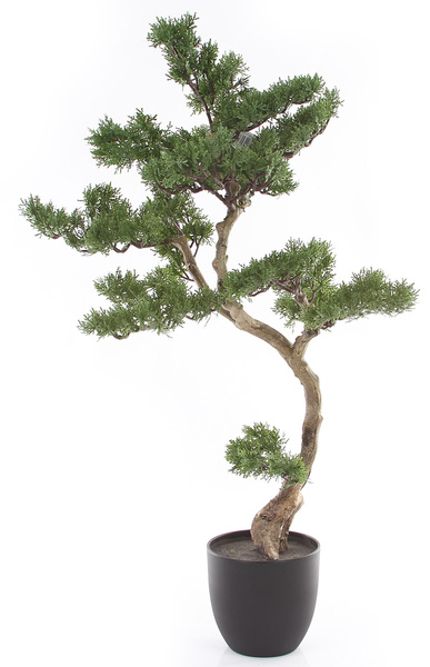 Sztuczny bonsai Cedr 100 cm w doniczce